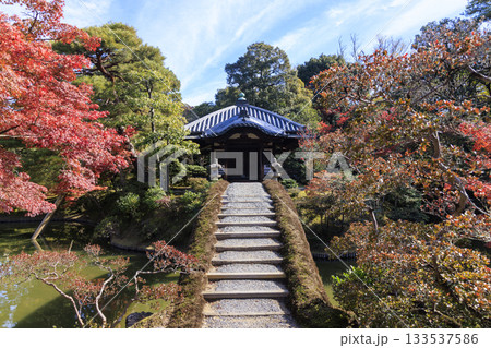秋の紅葉に映える日本庭園 (京都 桂離宮) 秋の紅葉に映える日本庭園 (京都 桂離宮) 133537586