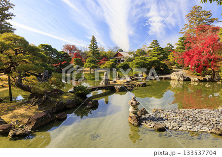 秋の紅葉に映える日本庭園 (京都 桂離宮) 133537704