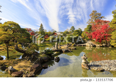 秋の紅葉に映える日本庭園 (京都 桂離宮) 133537706