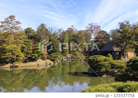 秋の紅葉に映える日本庭園 (京都 桂離宮) 133537758