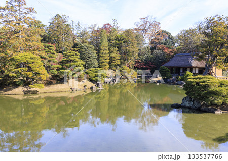 秋の紅葉に映える日本庭園 (京都 桂離宮) 133537766