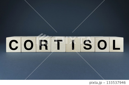 Cortisol hormone. Cubes form the word cortisol. Cortisol hormone. Cubes form the word cortisol. 133537946