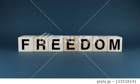 Freedom. Cubes form the word Freedom. The broad concept of the word Freedom 133538141