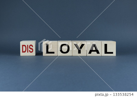 Cubes form the words disloyal or loyal. Concept of choice in attitude at work in business and everyday life 133538254