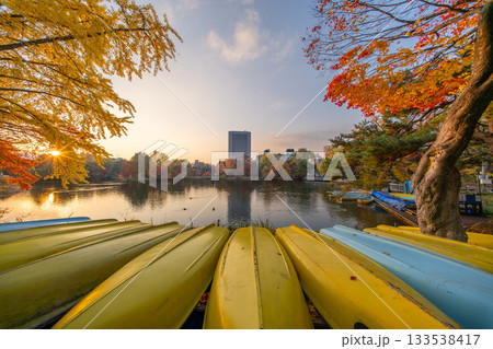北海道　中島公園　紅葉　蓮池　秋　オータム　銀杏　もみじ　豊平館 133538417