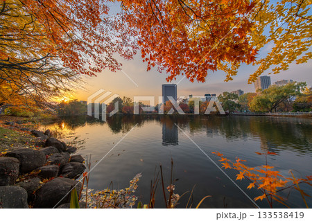 北海道　中島公園　紅葉　蓮池　秋　オータム　銀杏　もみじ　豊平館 133538419