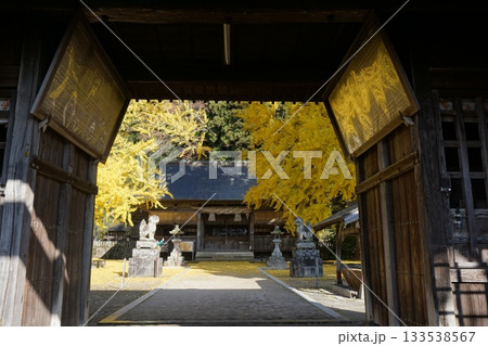 岡山県真庭市蒜山にある「福田神社」:イチョウ黄葉の頃 岡山県真庭市蒜山にある「福田神社」:イチョウ黄葉の頃 133538567