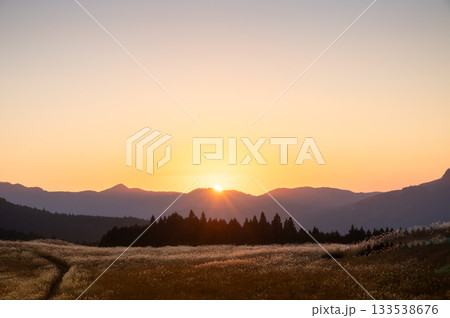 オレンジの夕日とススキ、曽禰高原の素朴な田舎の景色が美しい 133538676