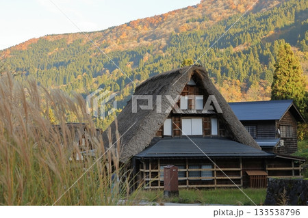 秋の紅葉の 五箇山 相倉合掌造り集落 ( 富山県 南砺市 ) 133538796