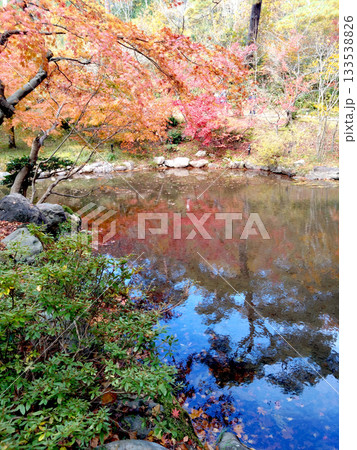 水面もみじ 133538826