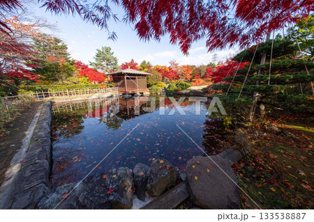北海道　札幌　平岡樹芸センター　紅葉　もみじ　トンネル 133538887