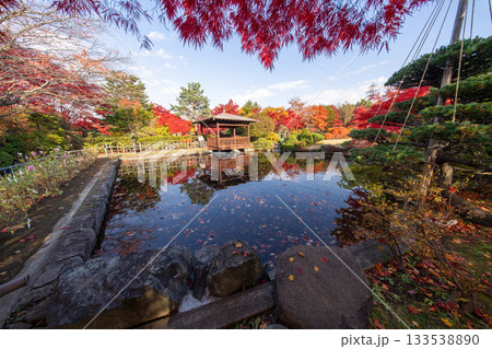 北海道 札幌 平岡樹芸センター 紅葉 もみじ トンネル 北海道 札幌 平岡樹芸センター 紅葉 もみじ トンネル 133538890