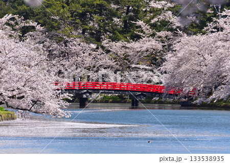 桜景　弘前城　西濠 133538935
