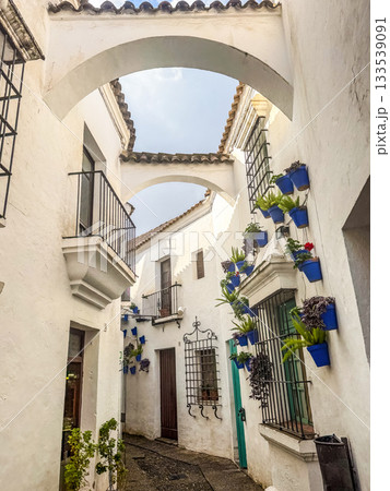 White Andalusian Alley with Blue Flower Pots White Andalusian Alley with Blue Flower Pots 133539091