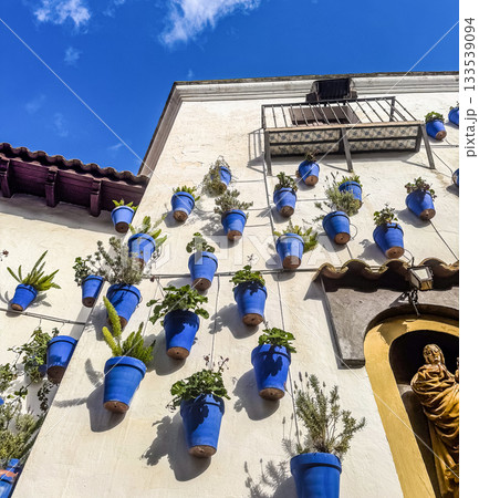 Blue Flower Pots on Traditional White Spanish Walls 133539094