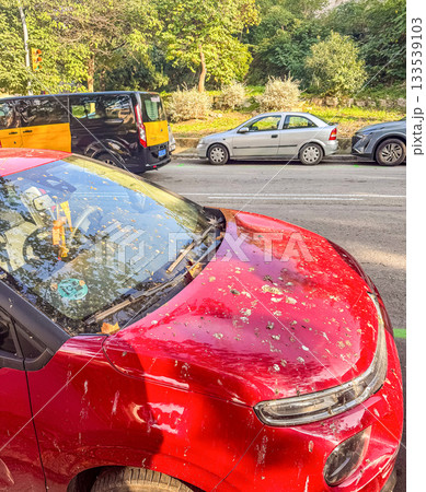 Dirty Red Car Covered with Bird Droppings and Leaves 133539103