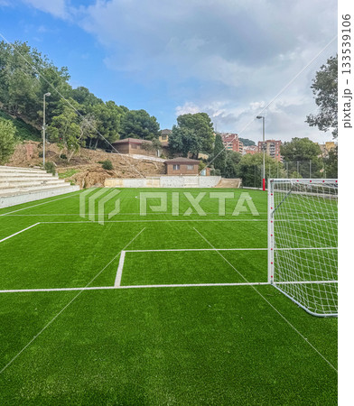 Football Field with Goal Sports Facility Football Field with Goal Sports Facility 133539106