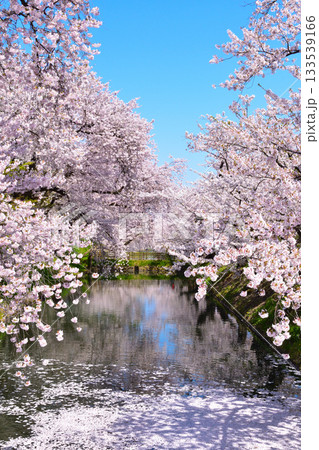 桜景　弘前城　花筏 133539166