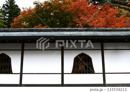 紅葉に包まれた三千院 133539213