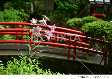 大神神社の市杵島姫神社 大神神社の市杵島姫神社 133539509
