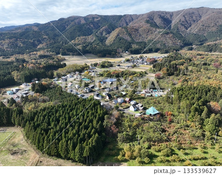 滋賀県 メタセコイヤ並木の紅葉 ドローン空撮 滋賀県 メタセコイヤ並木の紅葉 ドローン空撮 133539627