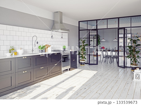 modern kitchen interior. modern kitchen interior. 133539673