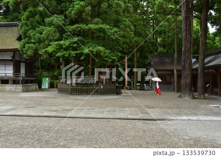 大神神社の巳の神杉 133539730