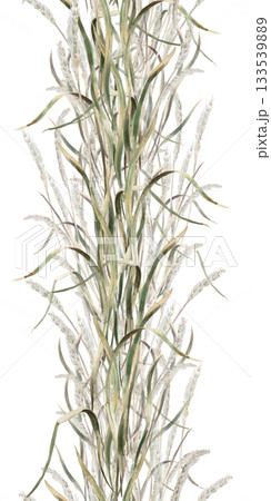 A vertical seamless multi-layered border with herbs. Isolated watercolor illustration for home textiles, eco-friendly projects, fabric printing, and interior design. 133539889