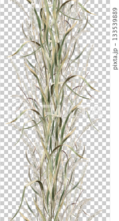 A vertical seamless multi-layered border with herbs. Isolated watercolor illustration for home textiles, eco-friendly projects, fabric printing, and interior design. 133539889