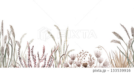 A seamless border with steppe grasses and flowers. Isolated watercolor illustration for eco-projects, eco-park tickets, packaging, and interior design. 133539916