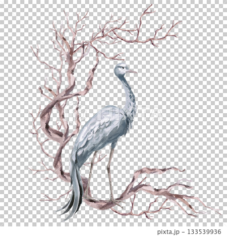 A semicircular composition with winding driftwood and a gray crane. Isolated watercolor illustration for environmental projects, travel agencies, interior design, posters, and postcards. 133539936