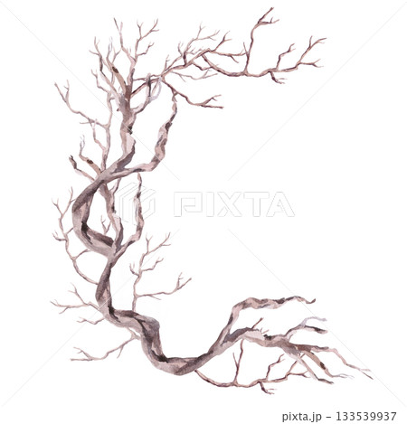 A semicircular composition with winding driftwood. Isolated watercolor illustration for eco-projects, travel agencies, interior design, posters, and postcards. 133539937
