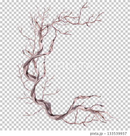 A semicircular composition with winding driftwood. Isolated watercolor illustration for eco-projects, travel agencies, interior design, posters, and postcards. 133539937