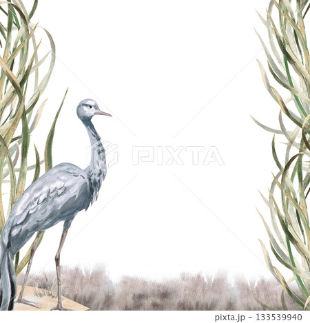 A square frame with a gray crane against a grassy background. Isolated watercolor illustration for environmental projects, ecopark tickets, packaging, and interior design. A square frame with a gray crane against a grassy background. Isolated watercolor illustration for environmental projects, ecopark tickets, packaging, and interior design. 133539940