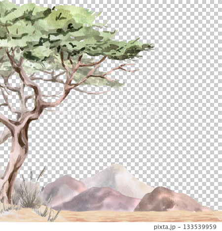 A square frame with a twisted acacia tree against a backdrop of African mountains. Isolated watercolor illustration for environmental projects, ecopark tickets, packaging, and interior design. A square frame with a twisted acacia tree against a backdrop of African mountains. Isolated watercolor illustration for environmental projects, ecopark tickets, packaging, and interior design. 133539959