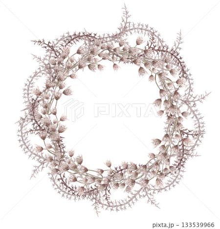 A lush wreath of steppe flowers and thorns. Isolated watercolor illustration of dried flowers for eco-projects, eco-park tickets, packaging design, interiors, and poster printing. 133539966