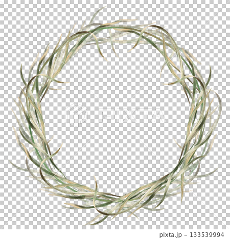 A lush wreath of sedge leaves. Isolated watercolor illustration for eco-projects, eco-park tickets, packaging design, interiors, and poster printing. A lush wreath of sedge leaves. Isolated watercolor illustration for eco-projects, eco-park tickets, packaging design, interiors, and poster printing. 133539994