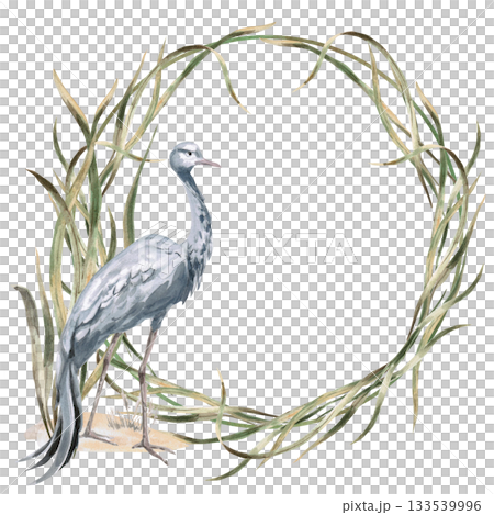 A wreath of sedge leaves and a grey crane. Isolated watercolor illustration for environmental projects, zoo tickets, packaging design, interiors, and poster printing. A wreath of sedge leaves and a grey crane. Isolated watercolor illustration for environmental projects, zoo tickets, packaging design, interiors, and poster printing. 133539996