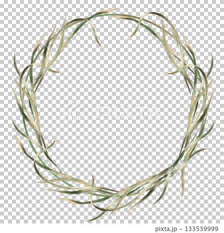 A wreath of sedge leaves. Isolated watercolor illustration for eco-friendly projects, packaging design, interior design, and poster printing. 133539999