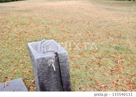 芝生のある公園の水飲み場と蛇口のクローズアップ。 133540131