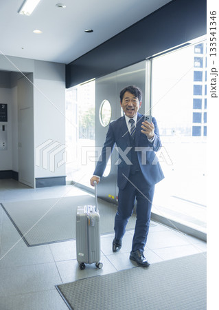 ガッツポーズするビジネスマン ガッツポーズするビジネスマン 133541346
