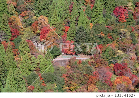 秋の大荒の滝へ向かう 錦秋 (高知県 香美市) 秋の大荒の滝へ向かう 錦秋 (高知県 香美市) 133541627