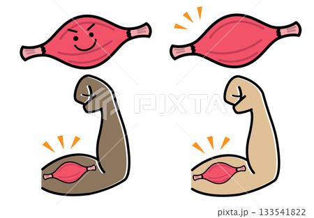 健康的な筋肉とガッツポーズのセット 健康的な筋肉とガッツポーズのセット 133541822
