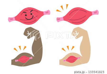 健康的な筋肉とガッツポーズのセット(主線なし) 健康的な筋肉とガッツポーズのセット(主線なし) 133541823