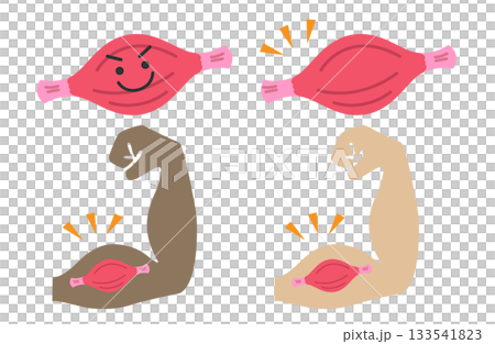 健康的な筋肉とガッツポーズのセット(主線なし) 健康的な筋肉とガッツポーズのセット(主線なし) 133541823