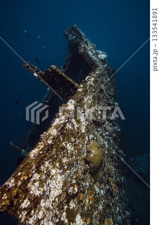 Underwater world with tropical fish, corals and wreck ship Underwater world with tropical fish, corals and wreck ship 133541891
