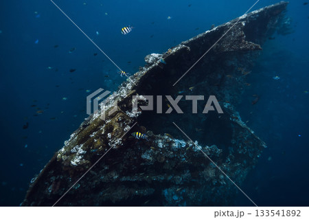 Liberty Wreck in Tulamben, Bali. Freediving on wreck ship 133541892