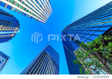 東京 新宿区 西新宿の都市風景 東京 新宿区 西新宿の都市風景 133542043