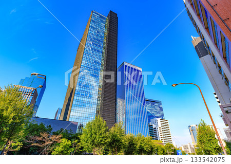 東京　新宿区　西新宿の都市風景 133542075