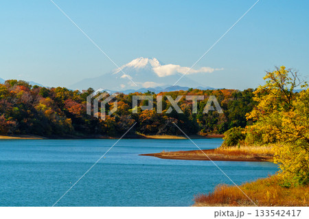 多摩湖の紅葉と富士山 133542417